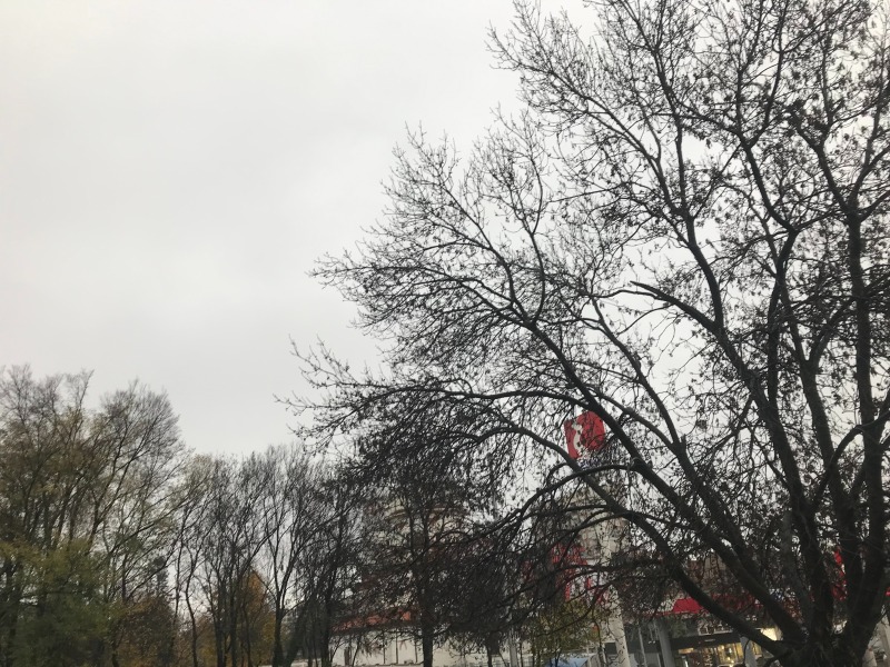 Дава под наем ОФИС, гр. София, Зона Б-19, снимка 5 - Офиси - 52563136