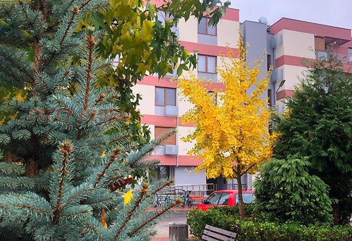 Дава под Наем 3-СТАЕН | Imot.bg — изображение 11