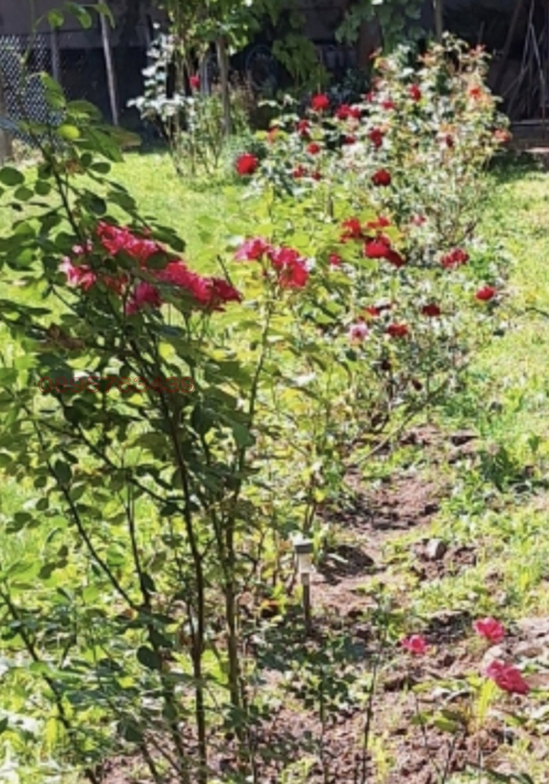 Дава под наем КЪЩА, гр. Перник, Център, снимка 13 - Къщи - 52938153