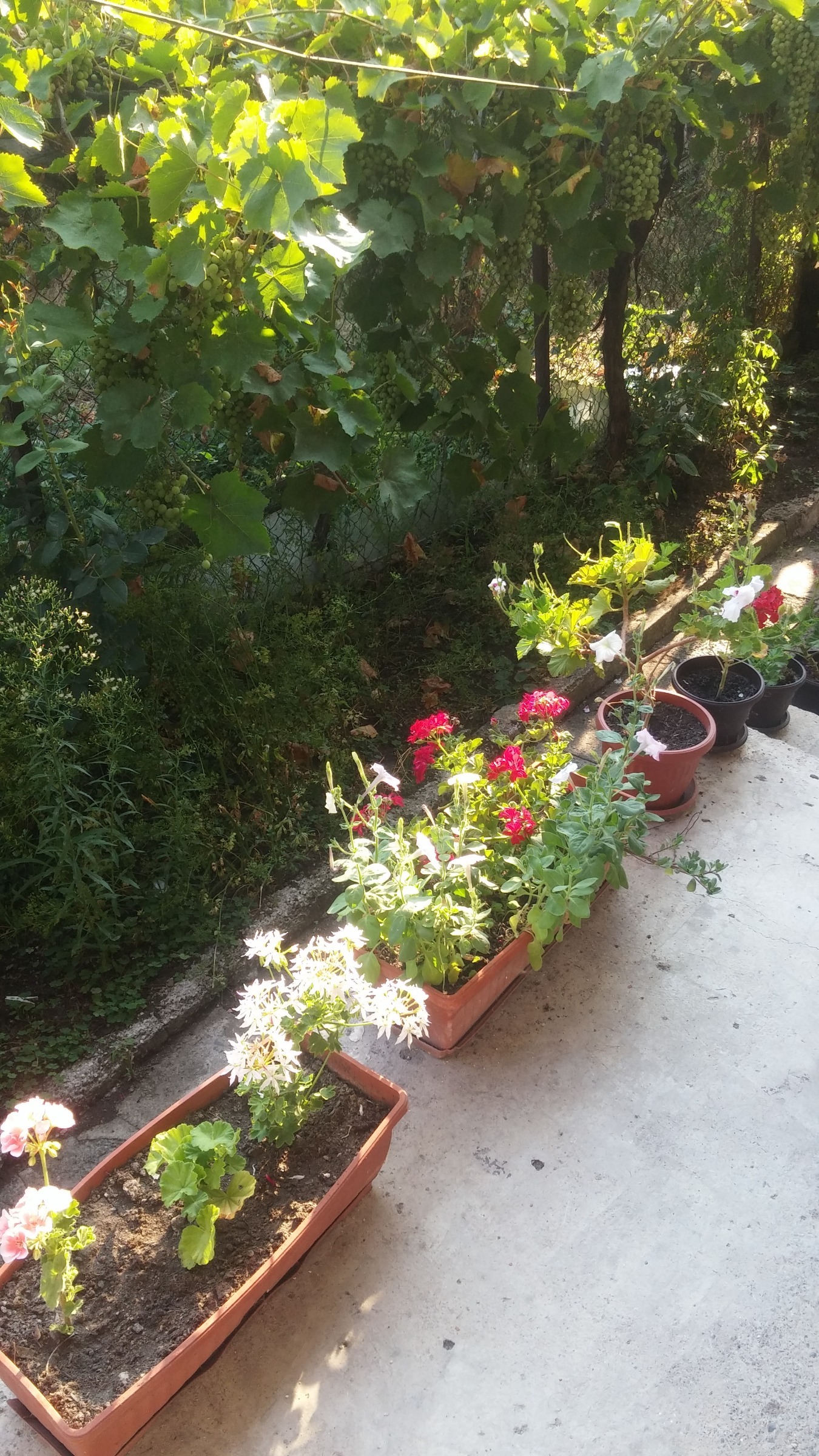 ���� ��� ���� ���� | Imot.bg � ����������� 13