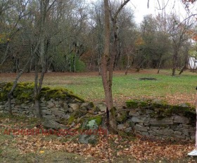 Parcelle Ravnichte, région Sofia