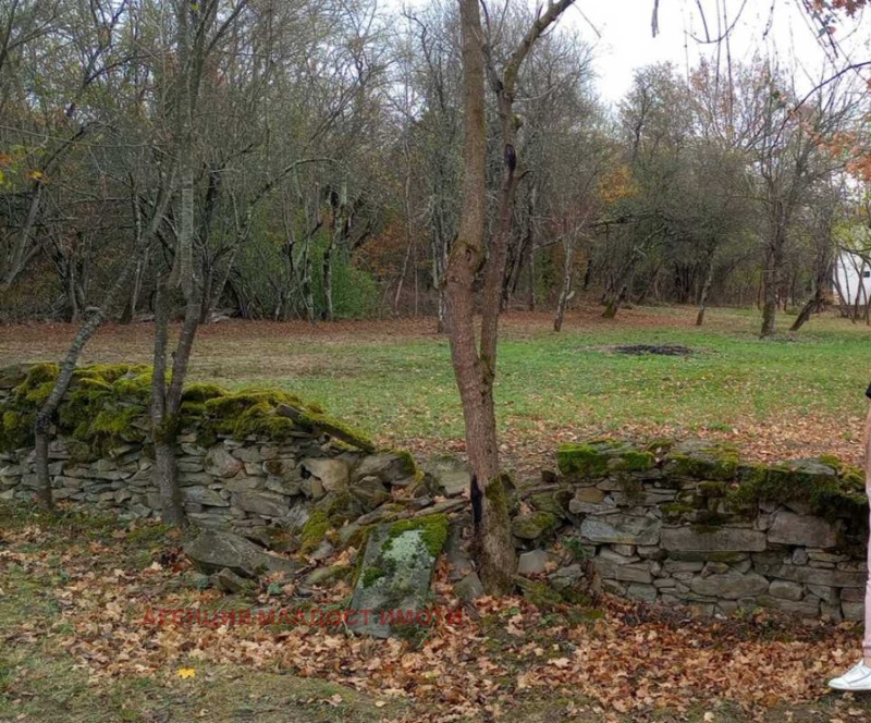 Zu vermieten  Handlung region Sofia , Rawnishte , 1000 qm | 82139331