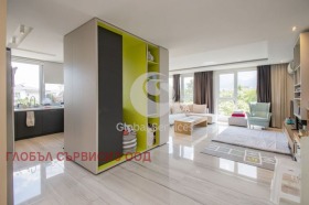 3 bedroom Lozenets, Sofia 3