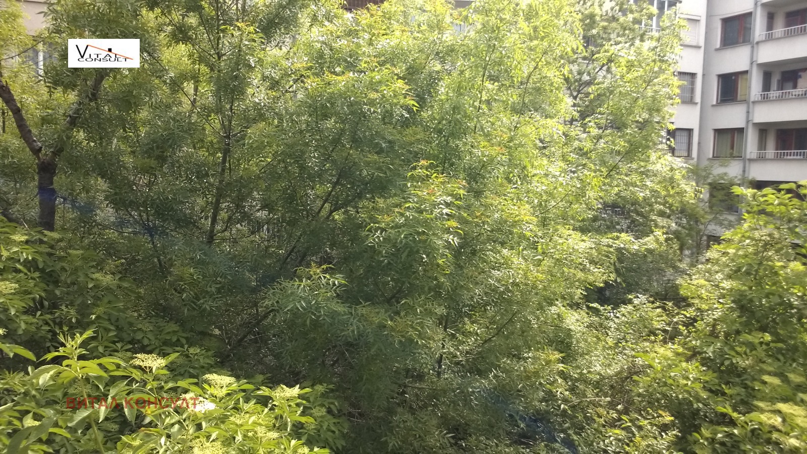 Дава под наем 1-СТАЕН, гр. София, Красно село, снимка 11 - Апартаменти - 55238078