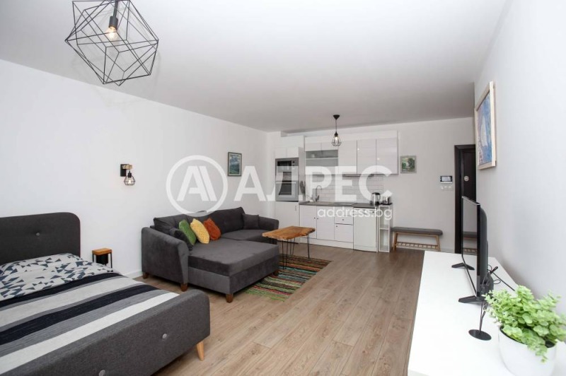 De inchiriat  Studio Sofia , Țentâr , 50 mp | 64386555 - imagine [2]