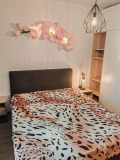 Под наем 1-СТАЕН, град Варна, к.к. Св.Св. Константин и Елена • 550 € • 24664971 — Holmes.bg