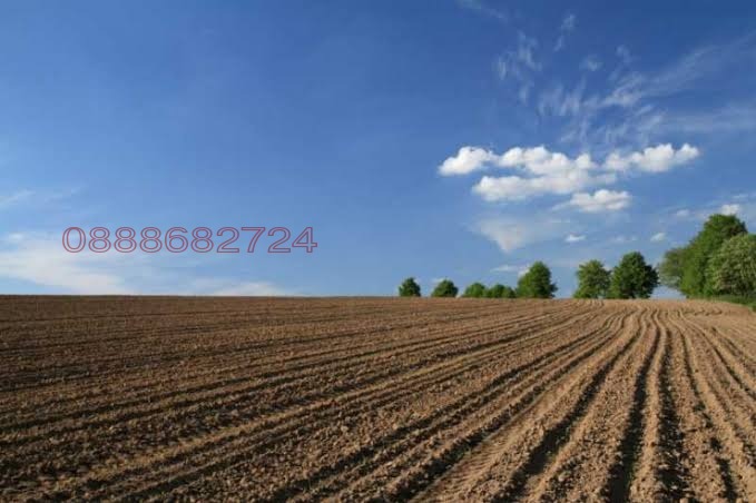 ���� ��� ���� ���������� ���� | Imot.bg � ����������� 1