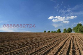 ����� ���� ��� ���� ���������� ����,�. �����, ������ ����