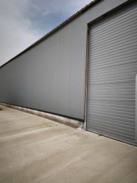 ����� ���� ��� ���� �����,�. ���������, ������ �������