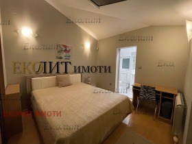 2 bedroom Vitosha, Sofia 6