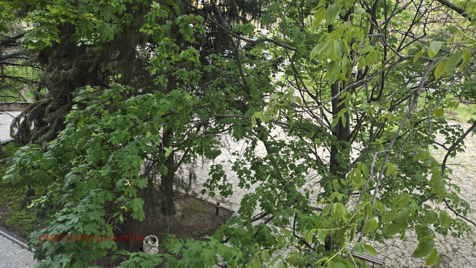 Дава под наем 3-СТАЕН, гр. Стара Загора, Център, снимка 7 - Апартаменти - 54380566