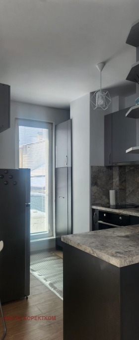 1 dormitor Crâstova vada, Sofia 6