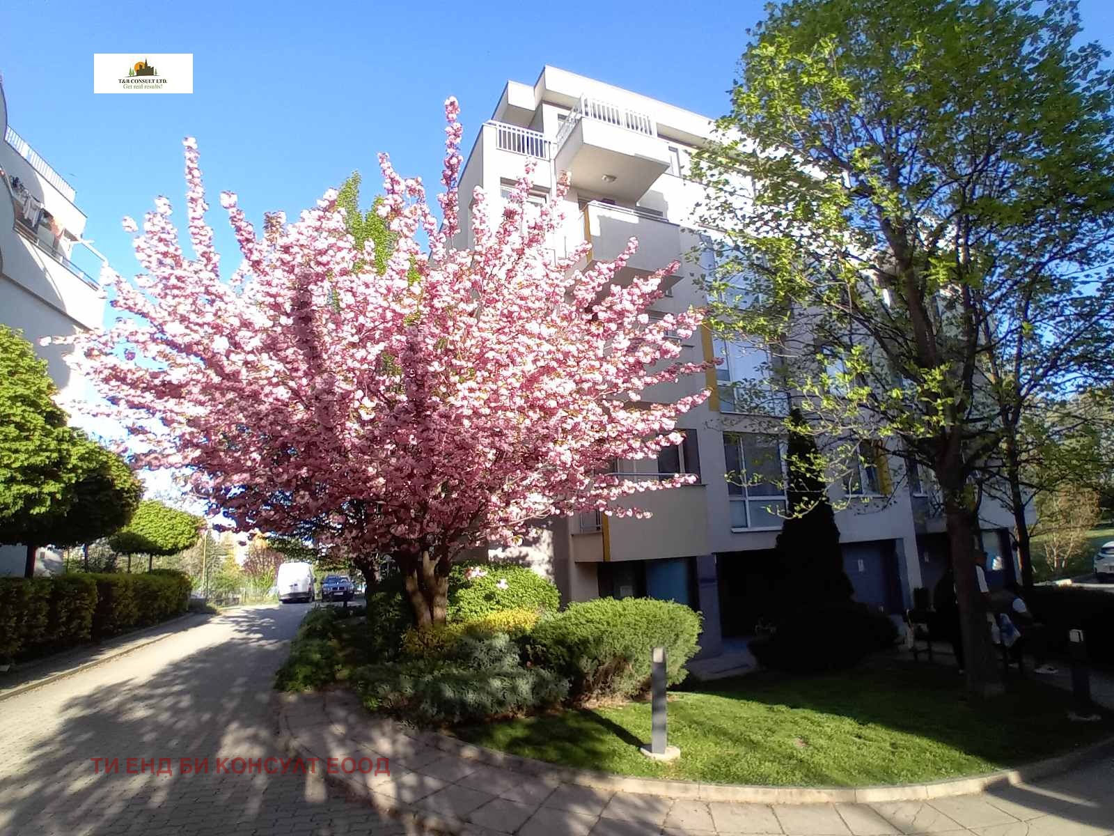 ���� ��� ���� 1-����� | Imot.bg � ����������� 7