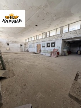 ������ ���� ��� ���� ����. ���������