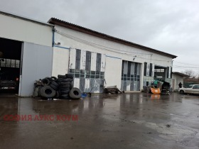 ����� ���� ��� ���� �����,���� �����, ������ 1