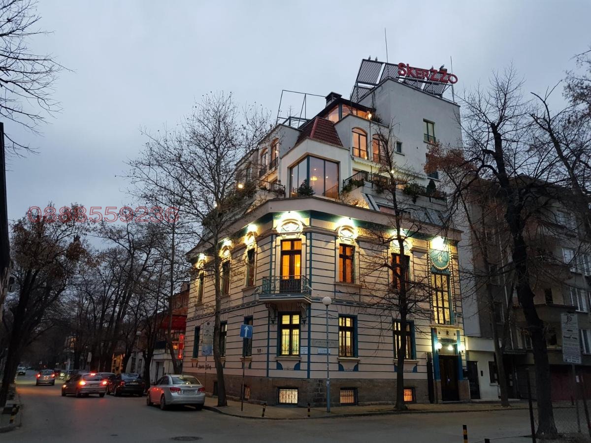 Дава под наем БИЗНЕС ИМОТ, гр. Пловдив, Център, снимка 14 - Други - 54421270