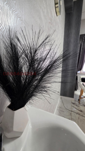 ���� ��� ���� ����������/���������� ����� | Imot.bg � ����� ������ 4