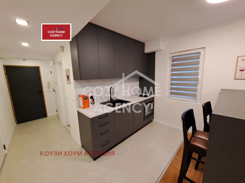 Дава под наем 2-СТАЕН, гр. София, Център, снимка 9 - Апартаменти - 52678563