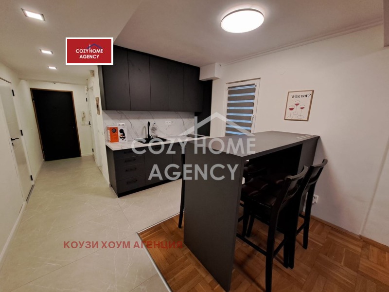 Дава под наем 2-СТАЕН, гр. София, Център, снимка 14 - Апартаменти - 52678563