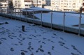 Дава под наем 2-СТАЕН, гр. София, Младост 4, снимка 15