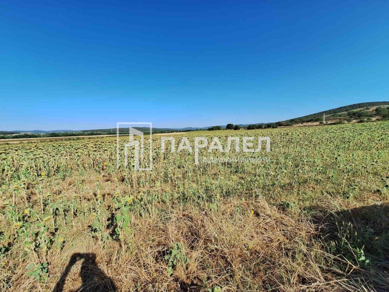 Zu vermieten  Land region Stara Sagora , Rakitniza , 125000 dka | 90028928 - Bild [2]