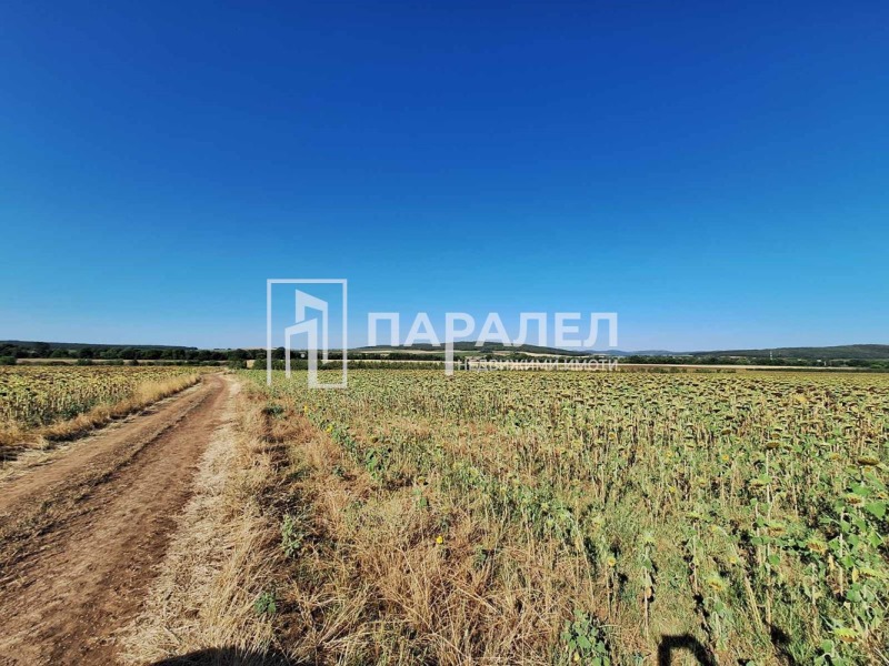 Zu vermieten  Land region Stara Sagora , Rakitniza , 125000 dka | 90028928 - Bild [4]