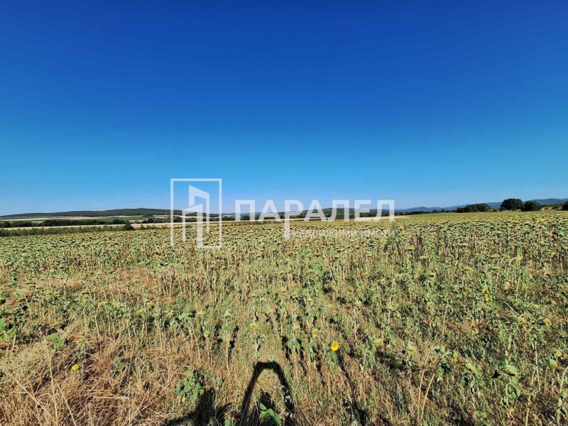 Zu vermieten  Land region Stara Sagora , Rakitniza , 125000 dka | 90028928 - Bild [3]