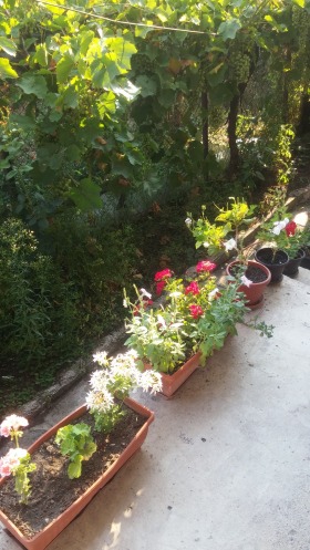 ���� ��� ���� ���� | Imot.bg � ����� ������ 12