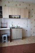 Дава под наем ЕТАЖ ОТ КЪЩА, гр. София, Орландовци, снимка 3