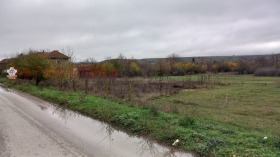 ����� ���� ��� ���� �����,�. ������, ������ �����