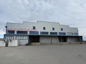 ����� ���� ��� ���� �����,���� �����, �. ��������