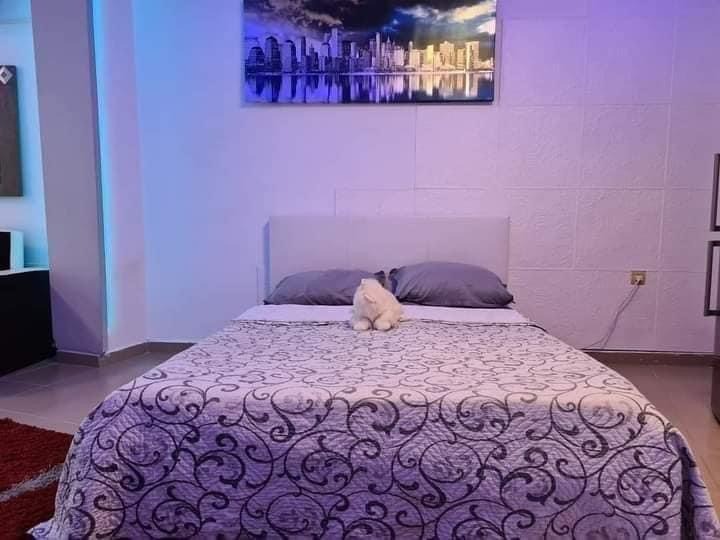 Дава под Наем 1-СТАЕН | Imot.bg — изображение 3