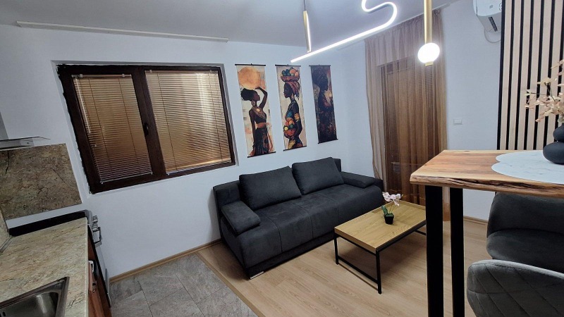 Do wynajęcia  1 sypialnia Plowdiw , Marasza , 50 mkw | 31059638 - obraz [3]