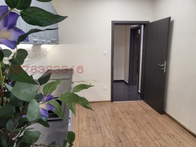 ����� ���� ��� ���� ����,���� �����, �������