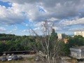 Дава под наем  3-стаен град София , Западен парк , 113 кв.м | 36820854 - изображение [10]