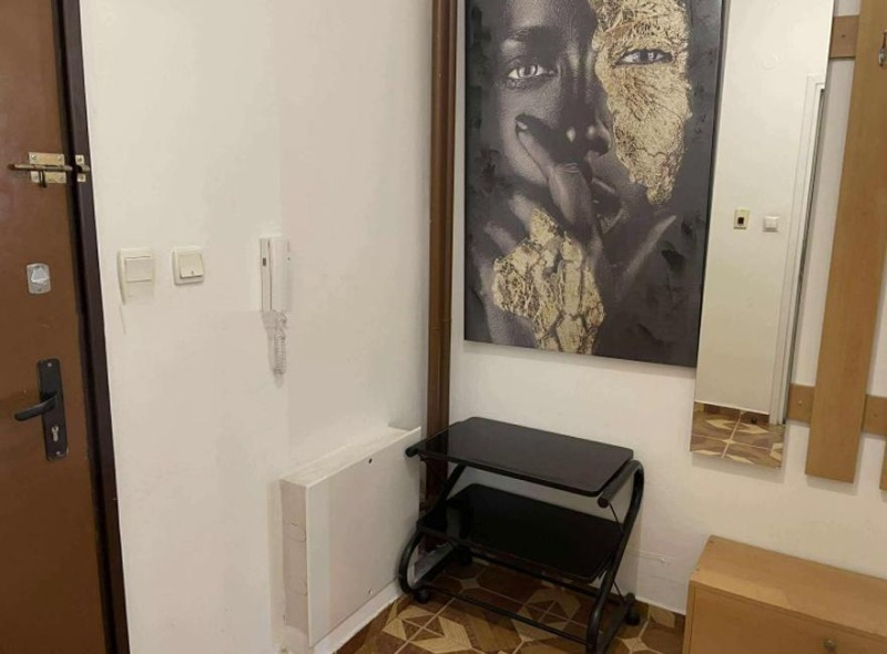 Издаје се  1 спаваћа соба Софија , Центар , 56 м2 | 74397787 - слика [10]