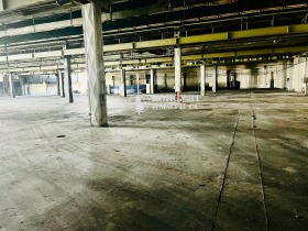 ������ ���� ��� ���� ����. ���������