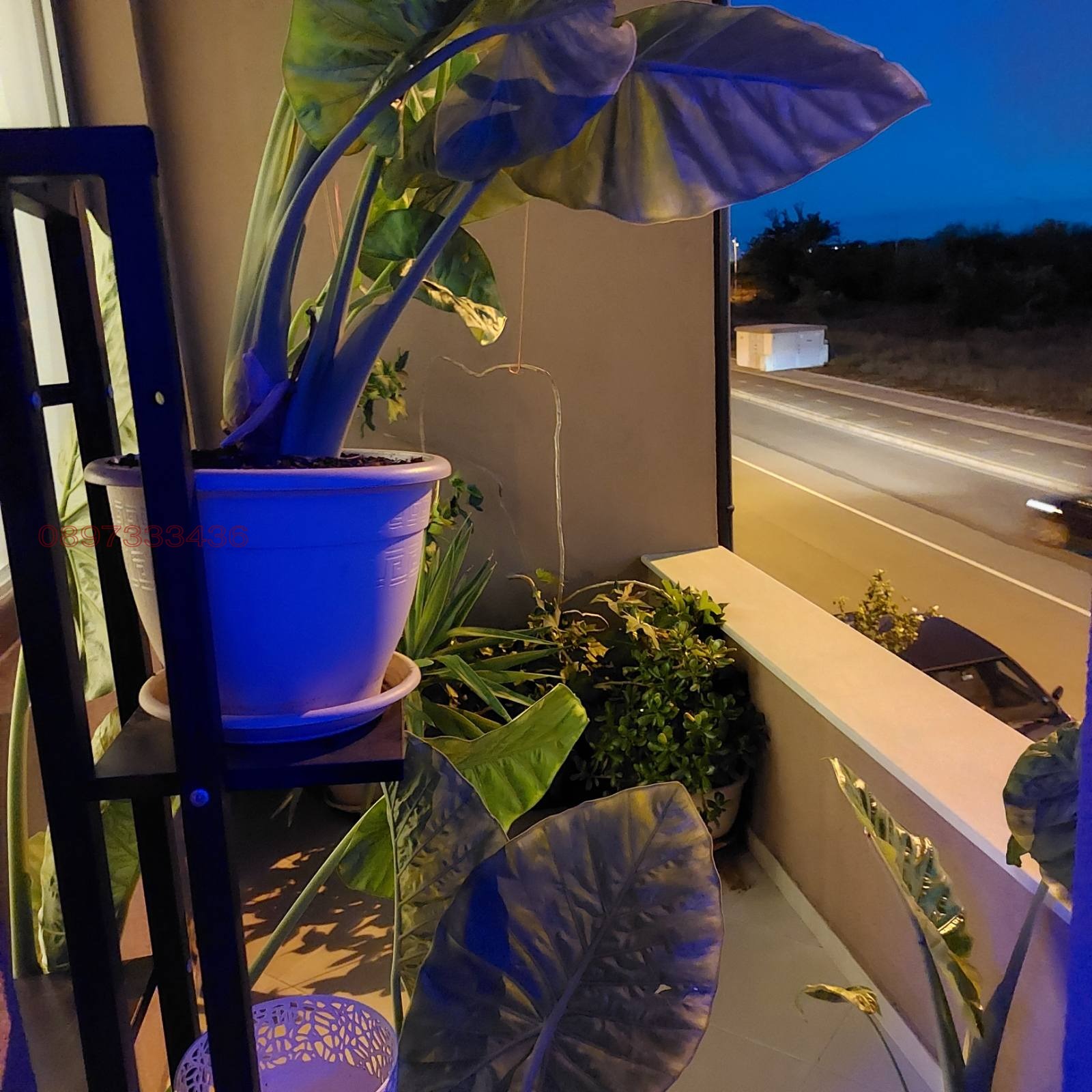 Дава под наем 2-СТАЕН, гр. Несебър, област Бургас, снимка 10 - Апартаменти - 53837086