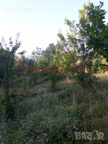 ���� ��� ���� ���������� ���� | Imot.bg � ����������� 3