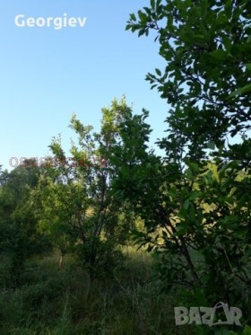 ���� ��� ���� ���������� ���� | Imot.bg � ����� ������ 5