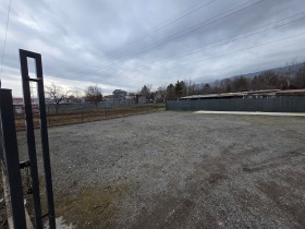 ����� ���� ��� ���� �������,���� �����, ���������