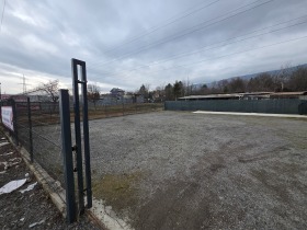 ����� ���� ��� ���� �������,���� �����, ���������