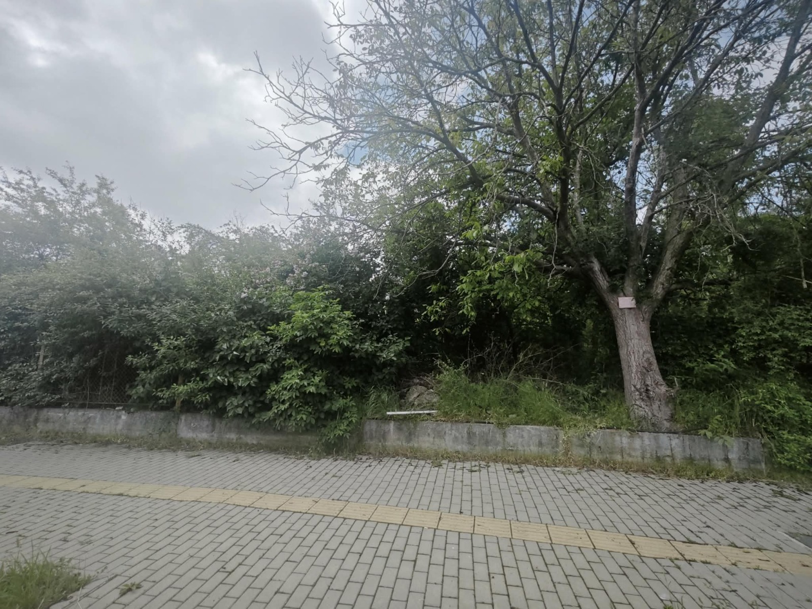 ���� ��� ���� ����� | Imot.bg � ����������� 5
