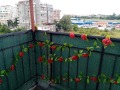 Дава под наем 2-СТАЕН, гр. София, Овча купел 2, снимка 6