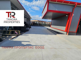 ������ ���� ��� ���� ����. ���������