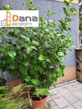 ���� ��� ���� ���� | Imot.bg � ����� ������ 5