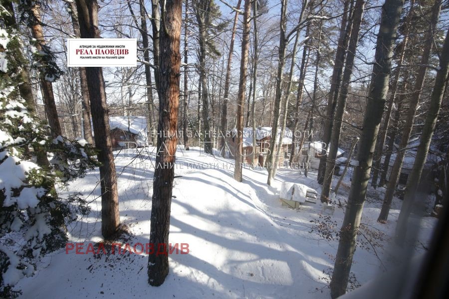 ���� ��� ���� ����� | Imot.bg � ����������� 17