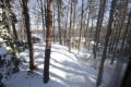 Под наем ХОТЕЛ, област Пазарджик, яз. Батак • 1700 € / 3324.91 лв. • 71517346 17