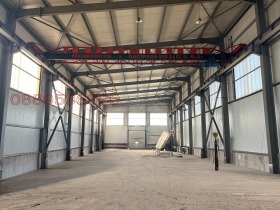 ����� ���� ��� ���� �����,���� �����, ���������