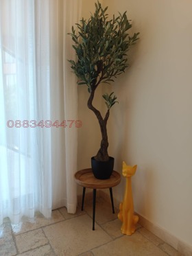    3- | Imot.bg    7